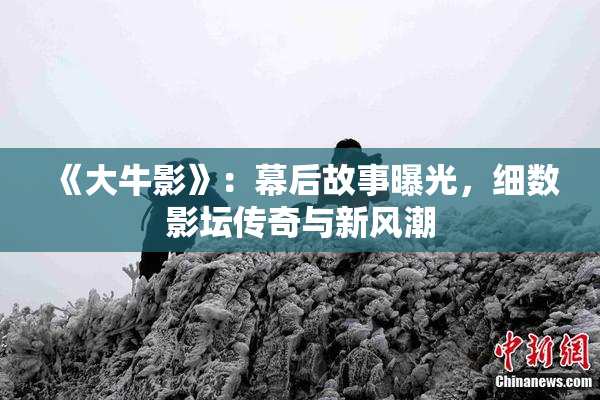 《大牛影》：幕后故事曝光，细数影坛传奇与新风潮