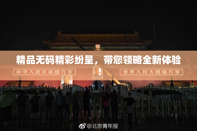 精品无码精彩纷呈，带您领略全新体验！