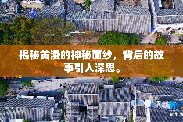 揭秘黄漫的神秘面纱，背后的故事引人深思。