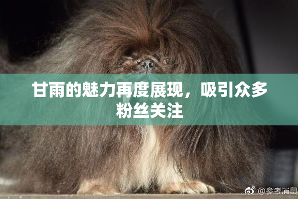 甘雨的魅力再度展现，吸引众多粉丝关注