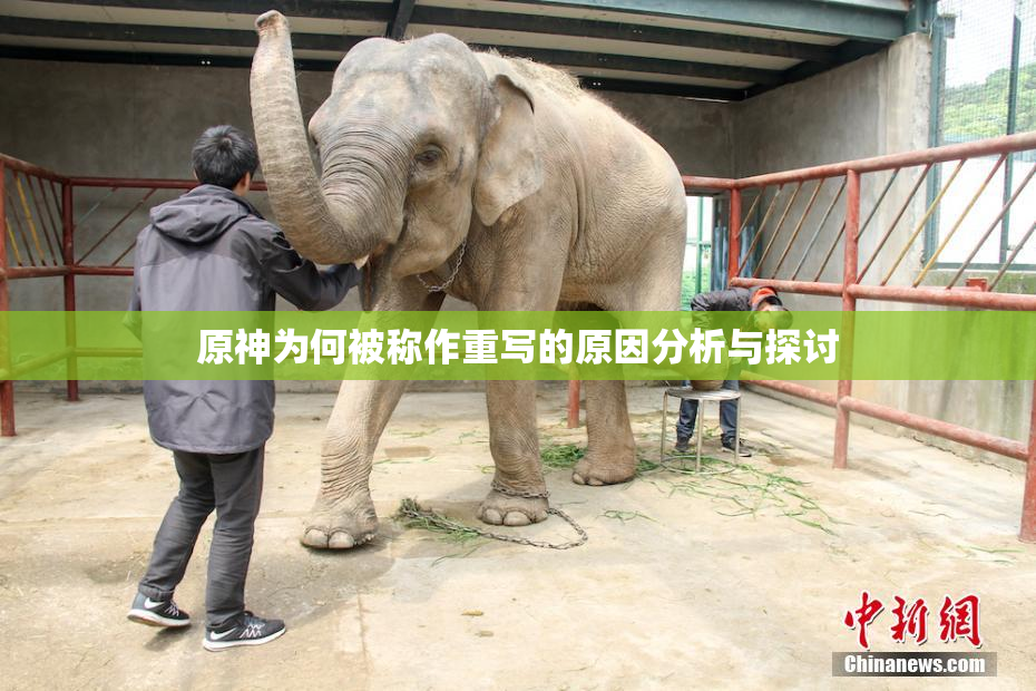 原神为何被称作重写的原因分析与探讨