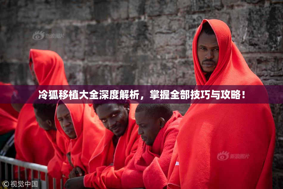 冷狐移植大全深度解析，掌握全部技巧与攻略！