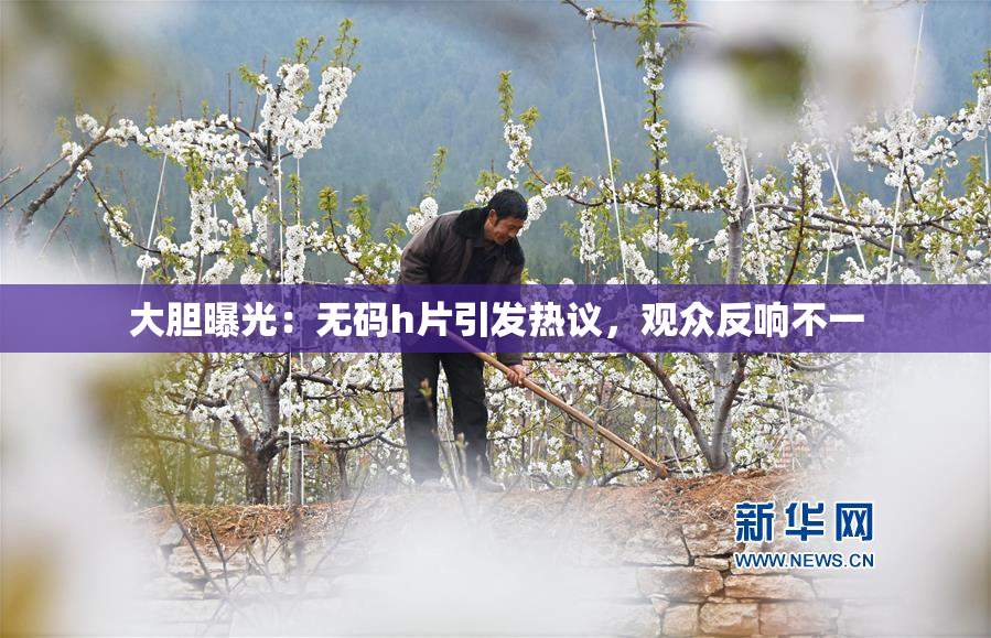 大胆曝光：无码h片引发热议，观众反响不一