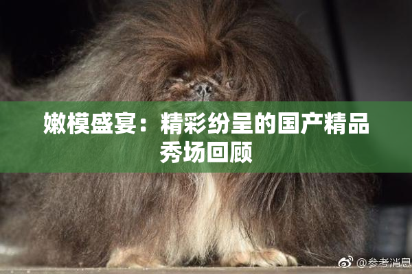 嫩模盛宴：精彩纷呈的国产精品秀场回顾