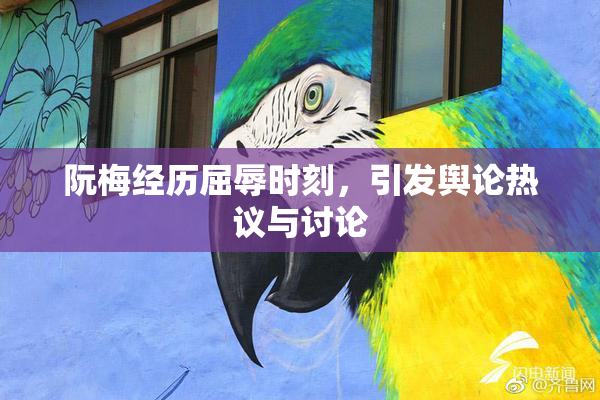 阮梅经历屈辱时刻，引发舆论热议与讨论