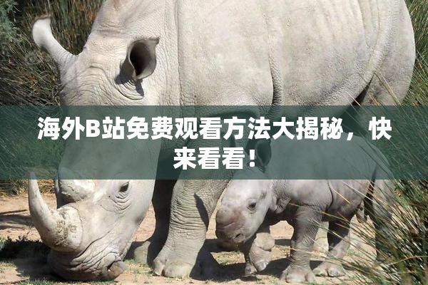 海外B站免费观看方法大揭秘，快来看看！