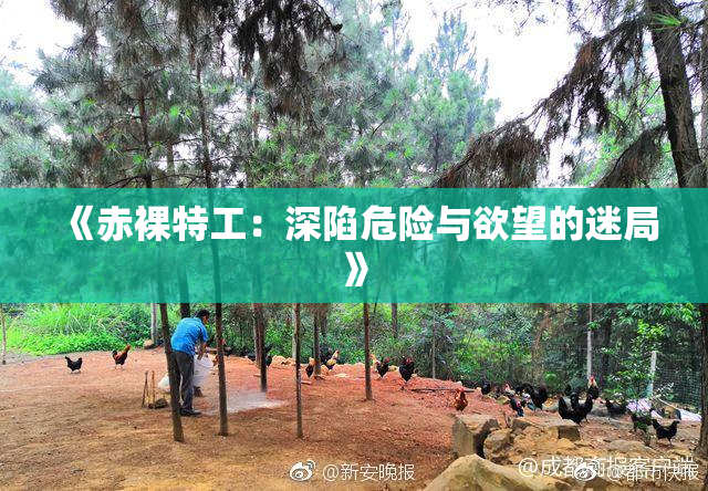 《赤裸特工：深陷危险与欲望的迷局》