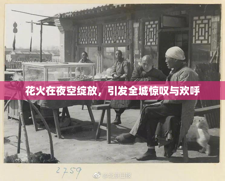 花火在夜空绽放，引发全城惊叹与欢呼