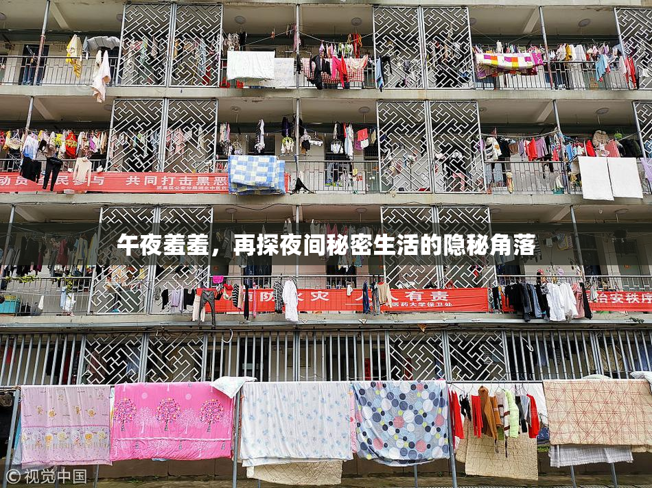 午夜羞羞，再探夜间秘密生活的隐秘角落