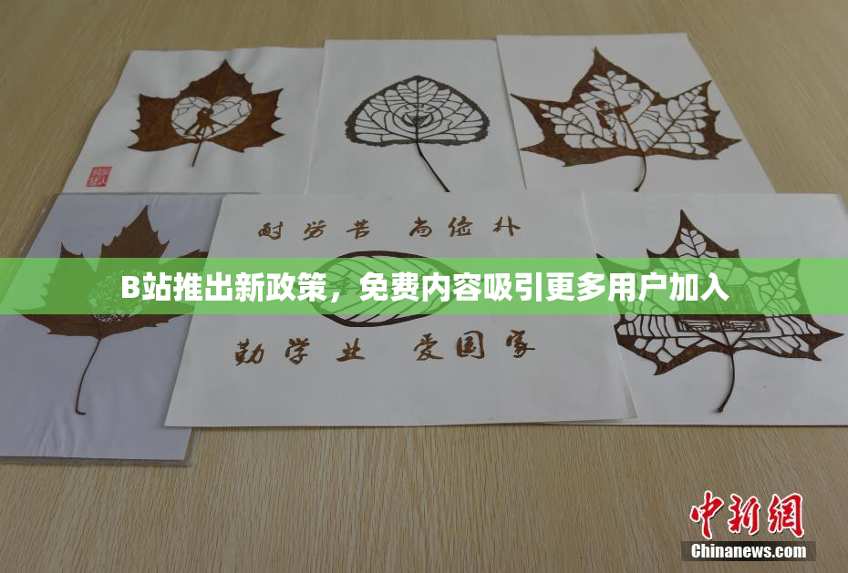 B站推出新政策，免费内容吸引更多用户加入