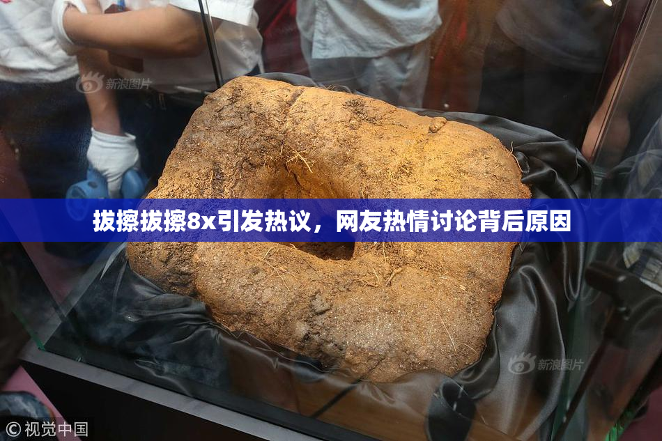 拔擦拔擦8x引发热议，网友热情讨论背后原因