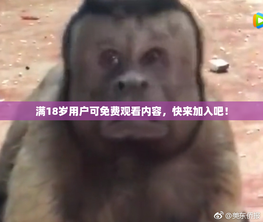 满18岁用户可免费观看内容，快来加入吧！