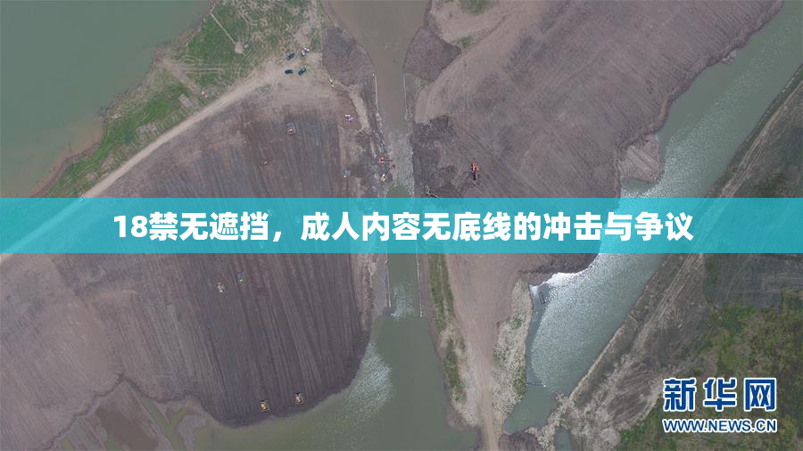 18禁无遮挡，成人内容无底线的冲击与争议