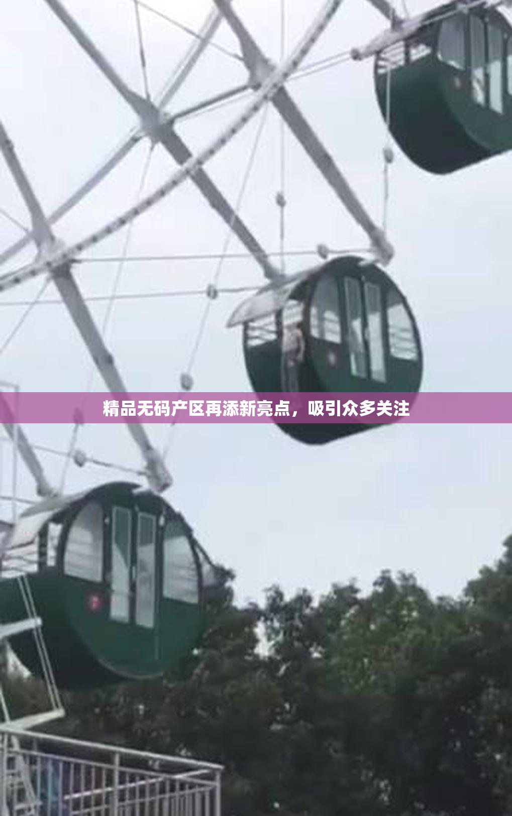 精品无码产区再添新亮点，吸引众多关注