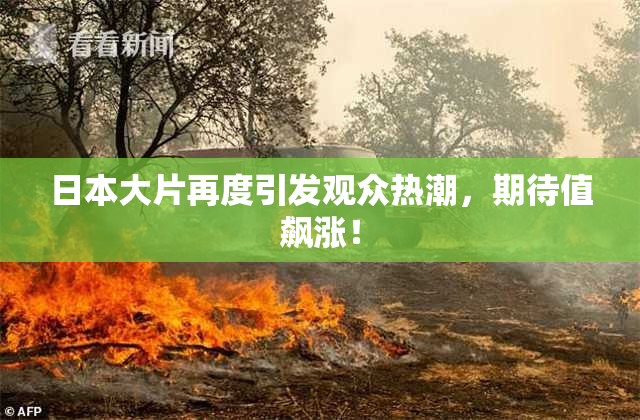 日本大片再度引发观众热潮，期待值飙涨！