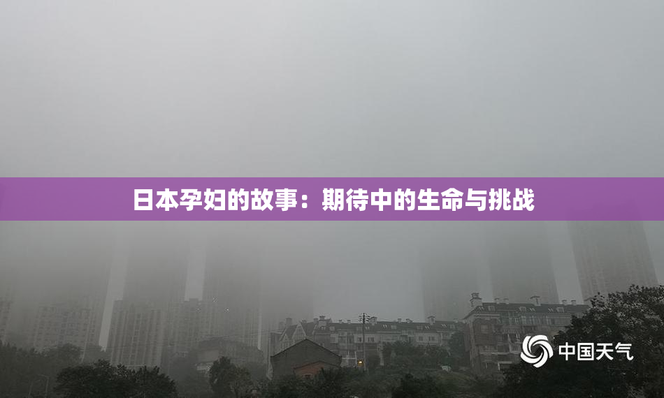 日本孕妇的故事：期待中的生命与挑战