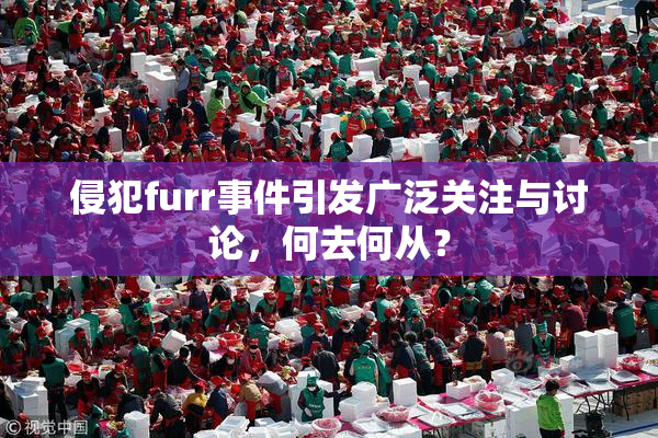 侵犯furr事件引发广泛关注与讨论，何去何从？