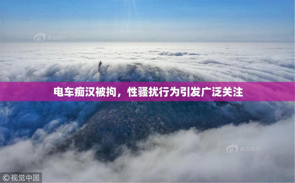 电车痴汉被拘，性骚扰行为引发广泛关注