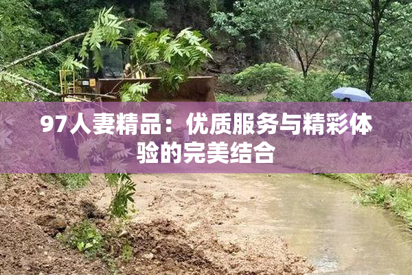 97人妻精品：优质服务与精彩体验的完美结合