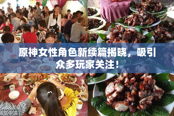 原神女性角色新续篇揭晓，吸引众多玩家关注！