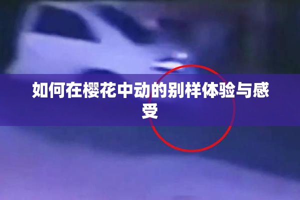 如何在樱花中动的别样体验与感受