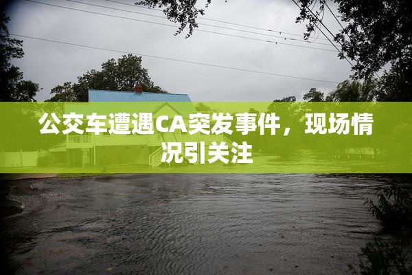 公交车遭遇CA突发事件，现场情况引关注