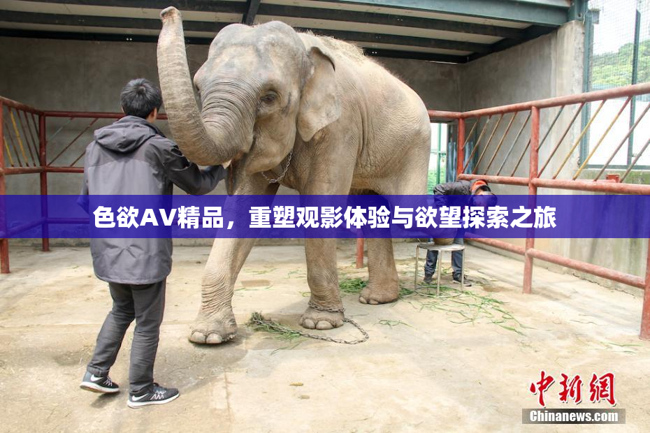 色欲AV精品，重塑观影体验与欲望探索之旅