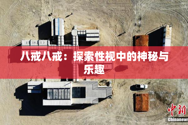 八戒八戒：探索性视中的神秘与乐趣