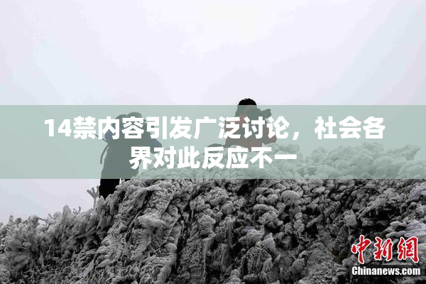 14禁内容引发广泛讨论，社会各界对此反应不一