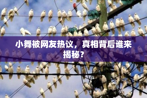 小舞被网友热议，真相背后谁来揭秘？