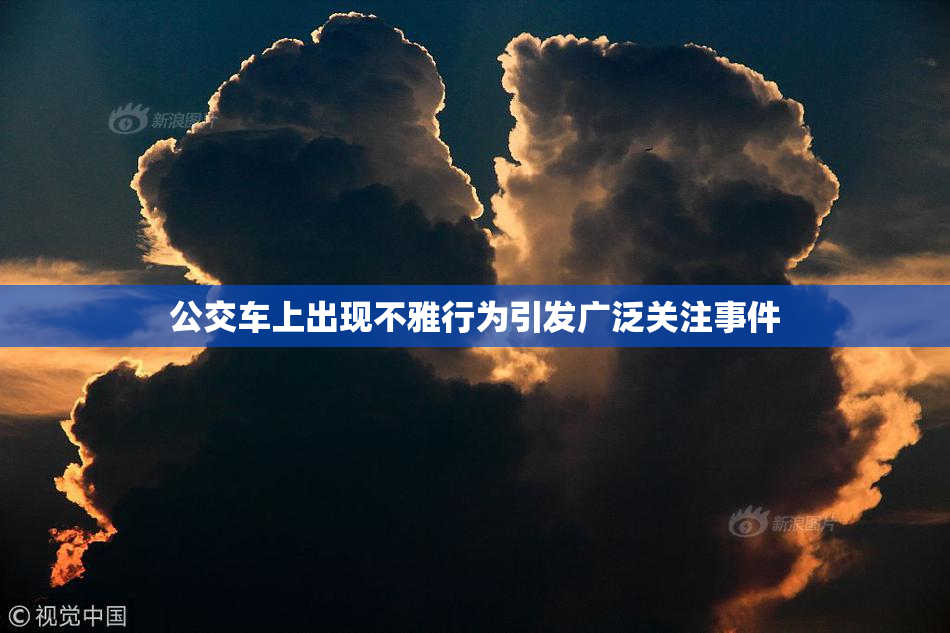 公交车上出现不雅行为引发广泛关注事件