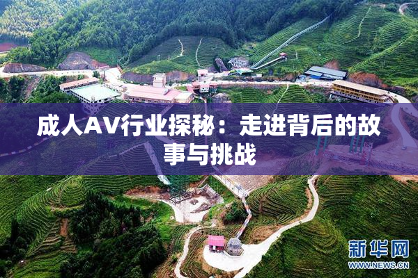 成人AV行业探秘：走进背后的故事与挑战