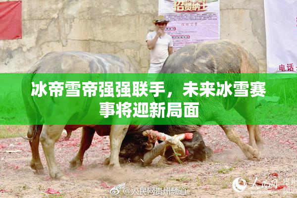 冰帝雪帝强强联手，未来冰雪赛事将迎新局面