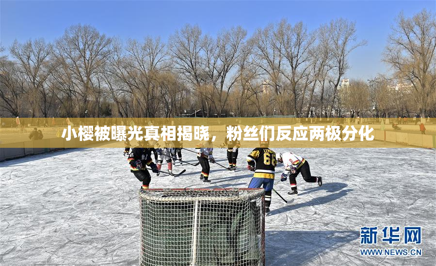小樱被曝光真相揭晓，粉丝们反应两极分化