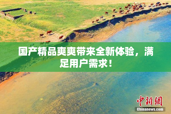国产精品爽爽带来全新体验，满足用户需求！