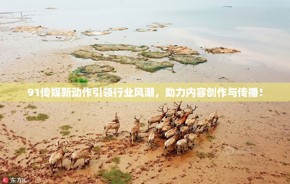 91传媒新动作引领行业风潮，助力内容创作与传播！