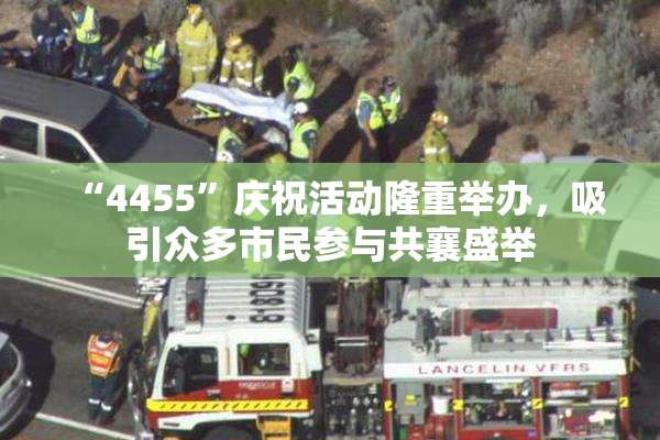 “4455”庆祝活动隆重举办，吸引众多市民参与共襄盛举