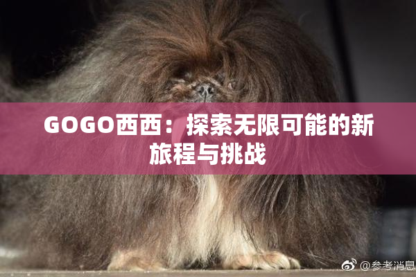 GOGO西西：探索无限可能的新旅程与挑战
