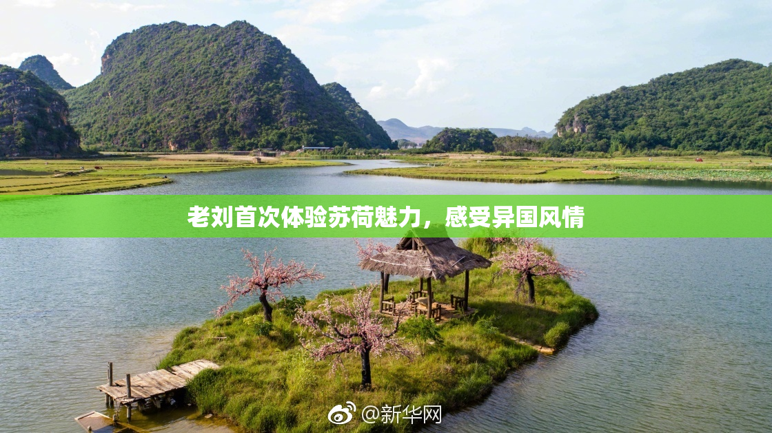 老刘首次体验苏荷魅力，感受异国风情