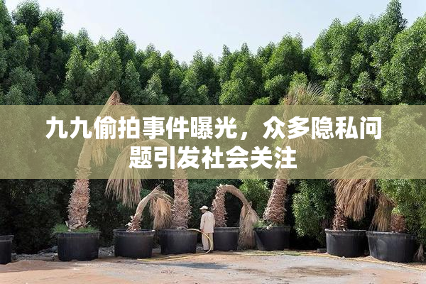九九偷拍事件曝光，众多隐私问题引发社会关注