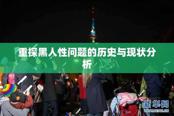重探黑人性问题的历史与现状分析