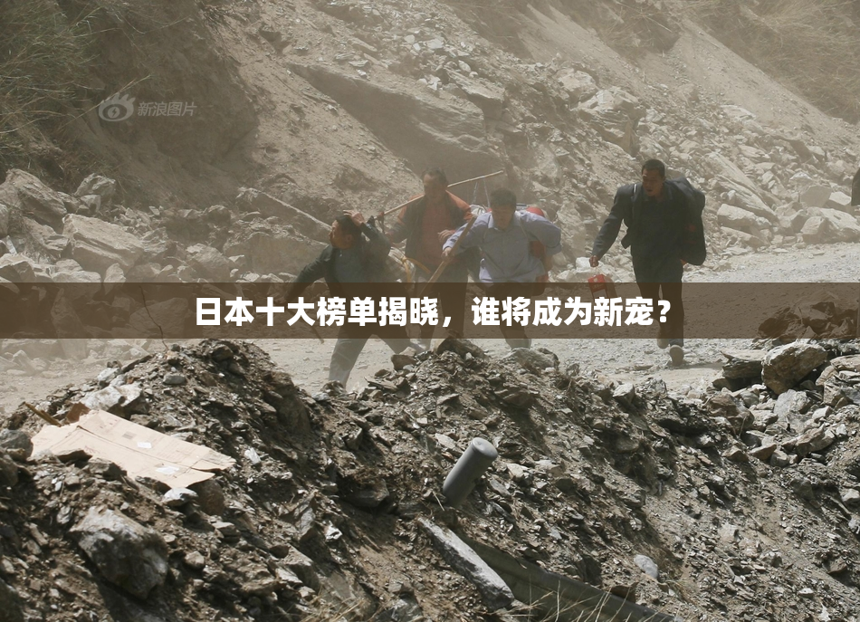 日本十大榜单揭晓，谁将成为新宠？