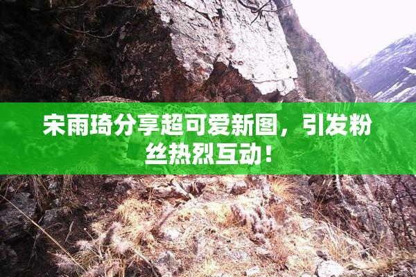 宋雨琦分享超可爱新图，引发粉丝热烈互动！