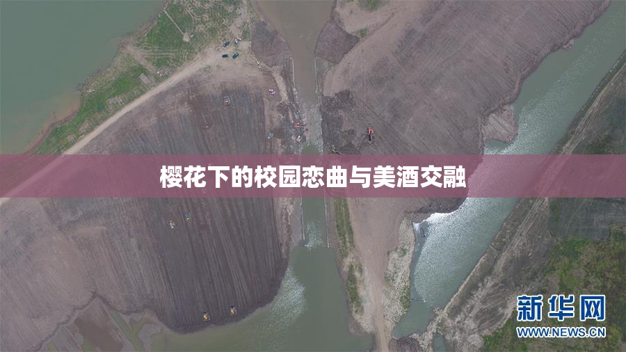 樱花下的校园恋曲与美酒交融