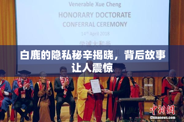 白鹿的隐私秘辛揭晓，背后故事让人震惊