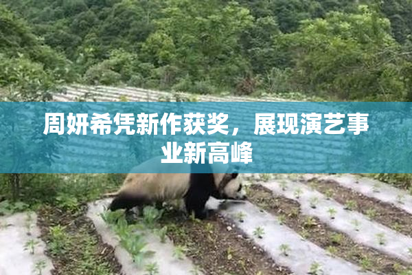 周妍希凭新作获奖，展现演艺事业新高峰