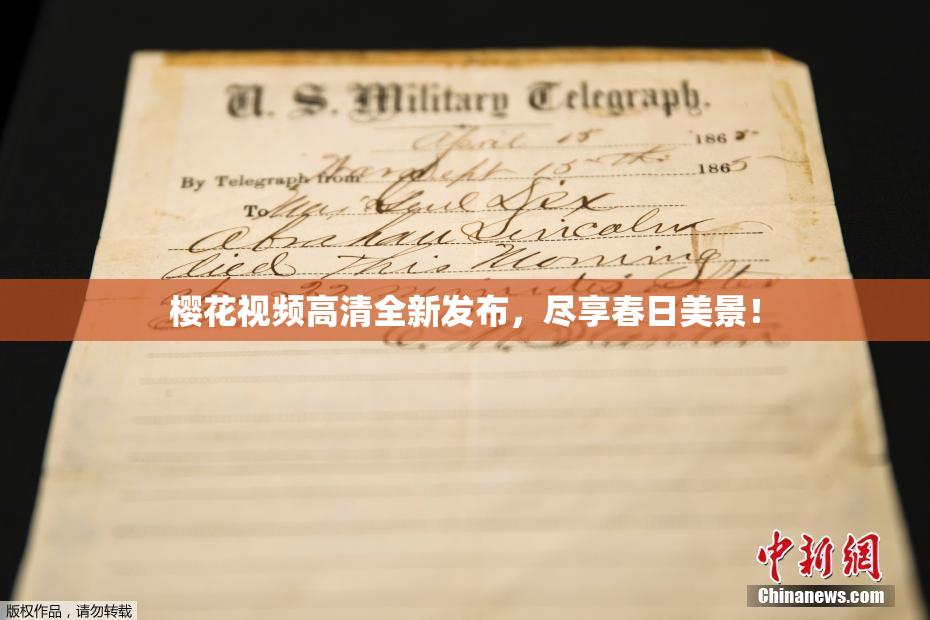 樱花视频高清全新发布，尽享春日美景！
