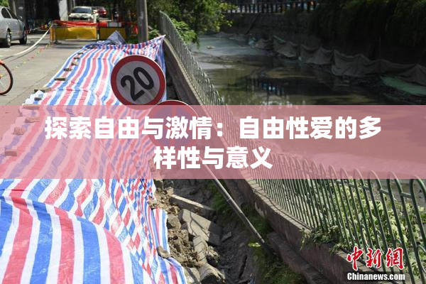 探索自由与激情：自由性爱的多样性与意义