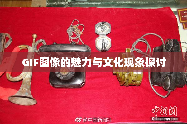 GIF图像的魅力与文化现象探讨