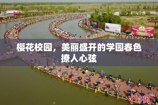 樱花校园，美丽盛开的学园春色撩人心弦